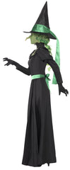 Witch Costume - Wicked