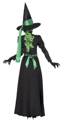 Witch Costume - Wicked