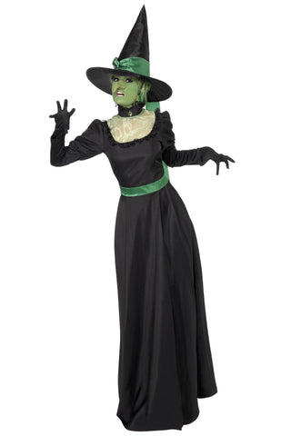 Witch Costume - Wicked