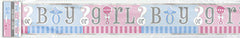 Banner - Boy or Girl?