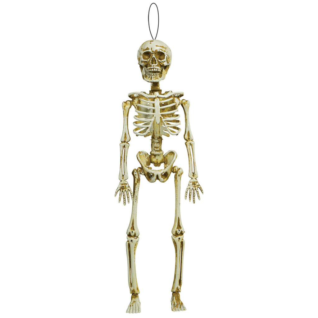 Skeleton - Hanging - Natural Bone